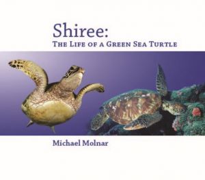 Shiree The Life of a Sea Turtle