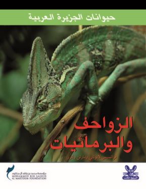 حيوانات الجزيرة العربية : الزواحف والبرمائيات